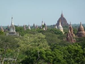 Bagan - 5