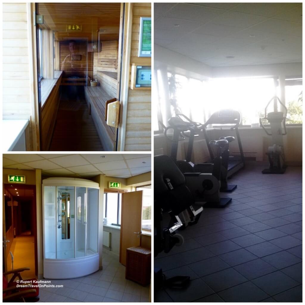 RIG RB Ridzene Fitness c